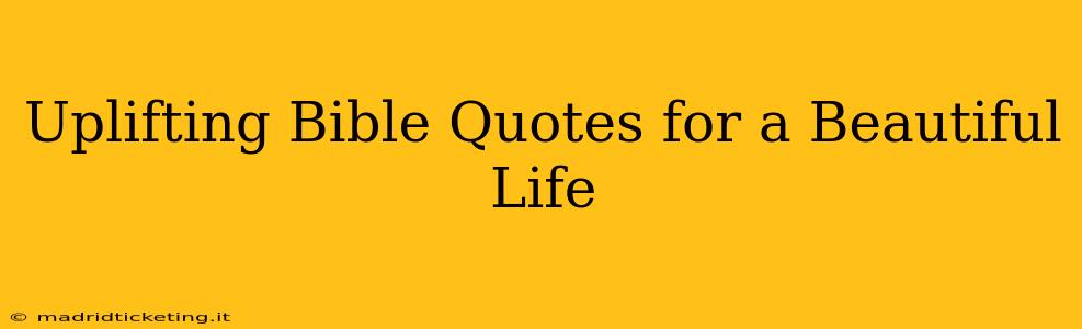Uplifting Bible Quotes for a Beautiful Life