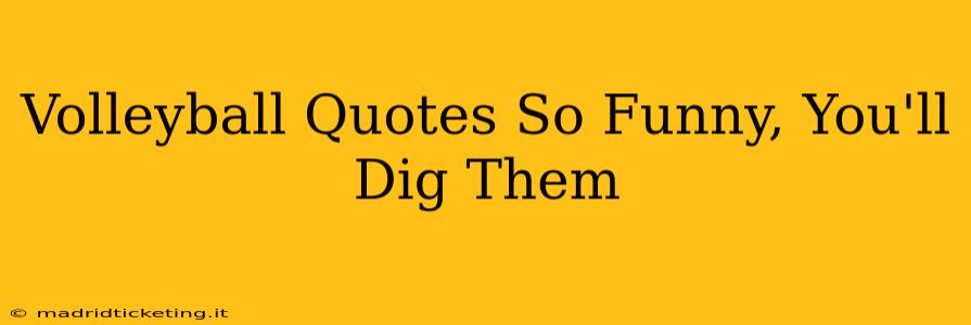 Volleyball Quotes So Funny, You'll Dig Them