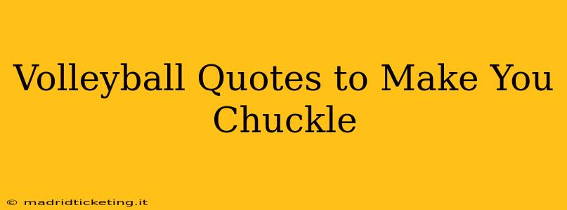 Volleyball Quotes to Make You Chuckle