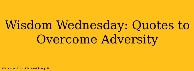 Wisdom Wednesday: Quotes to Overcome Adversity