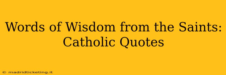 Words of Wisdom from the Saints: Catholic Quotes
