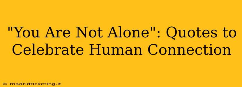 "You Are Not Alone": Quotes to Celebrate Human Connection
